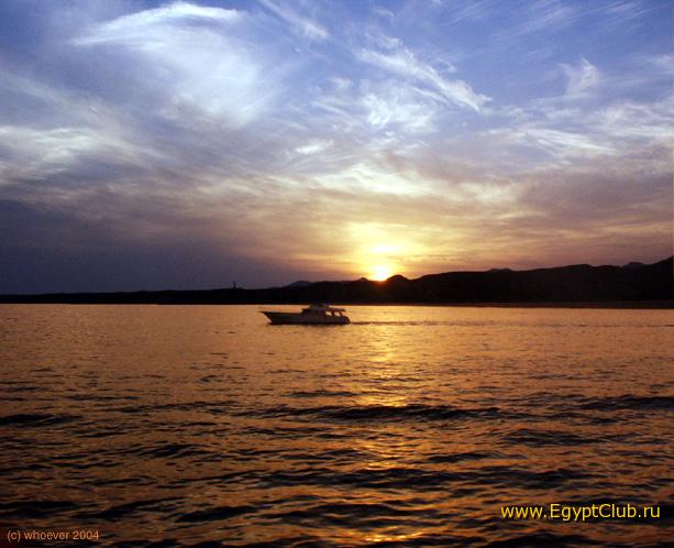 ������ �������� ����