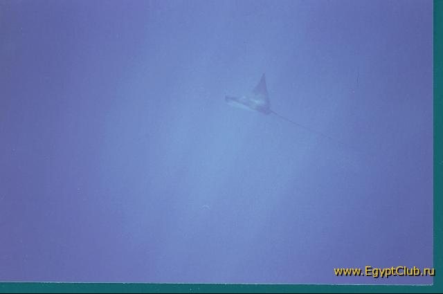 ����-�����