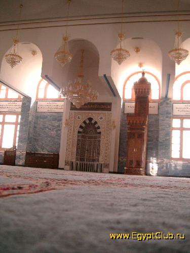 ������ ������