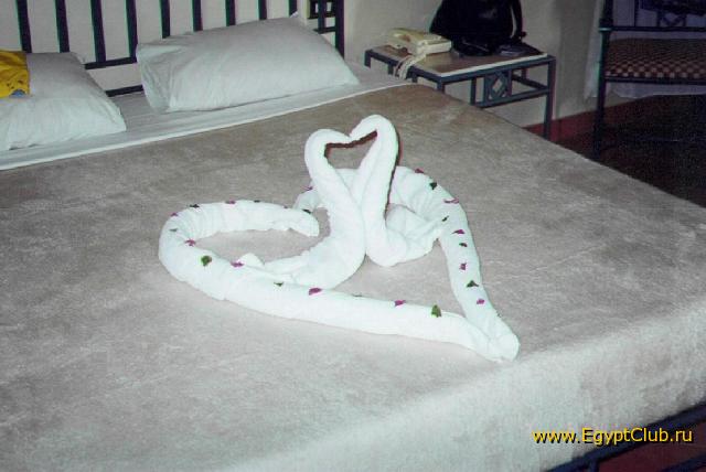 �22 �������, ������ ����, 2001 �.