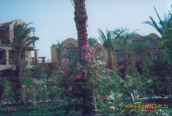 �25 �������, ������ ����, 2001 �.