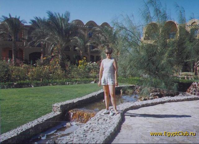 �36 �������, ������ ����, 2002 �.