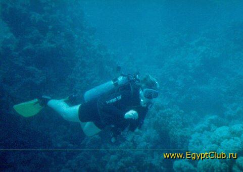 #60 �������, ����� �����, 2003 �.