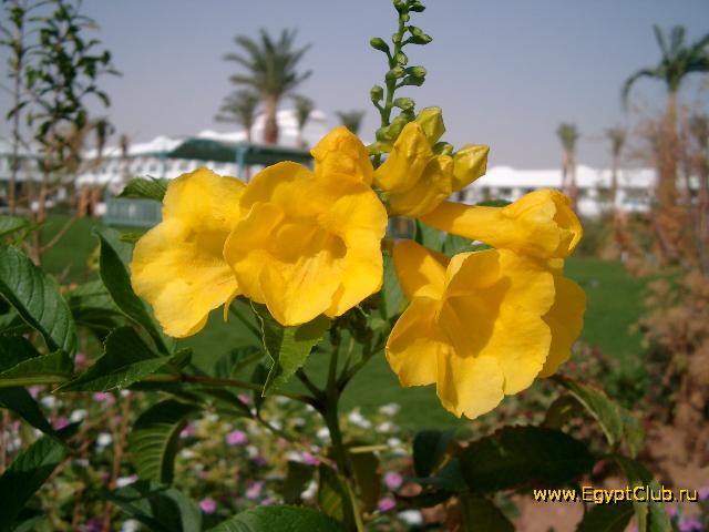 ����� � ����� ���