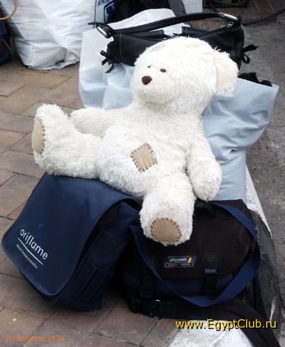 ���������� ����������