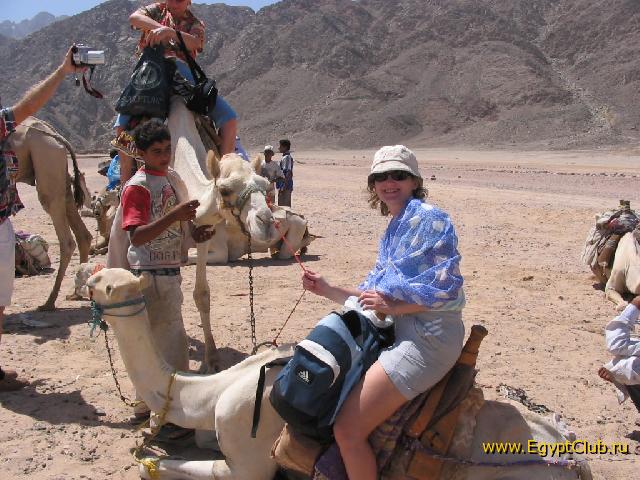 ����� � ���� ������� �������!