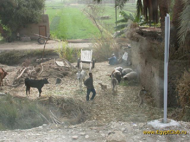 002 - ���� � �������� 