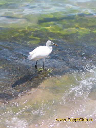 ���������!