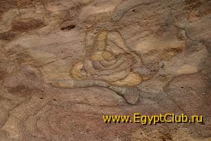 ���� �������