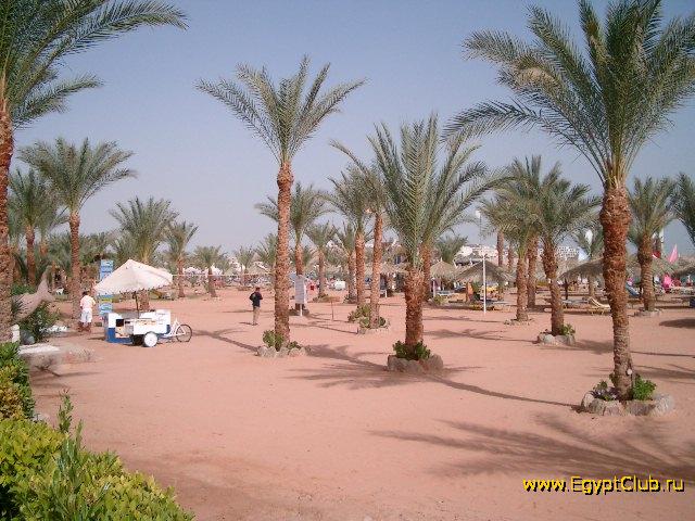 ���� � ����� ���