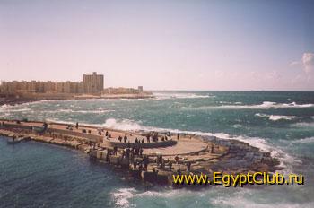#10_Alexandria