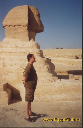 ������� �������...