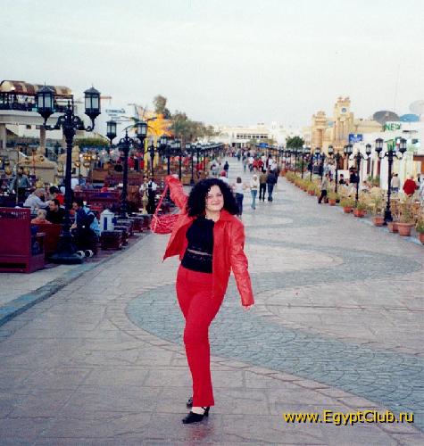 � ����� ���