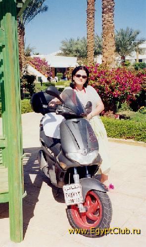 �������?