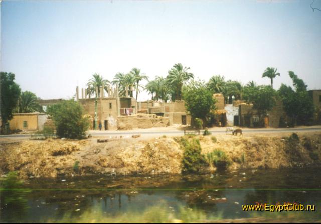 ����� ������