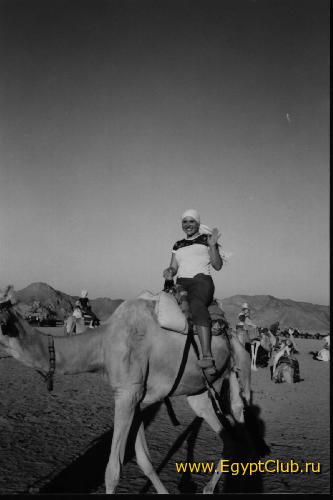 � ������ � ��������