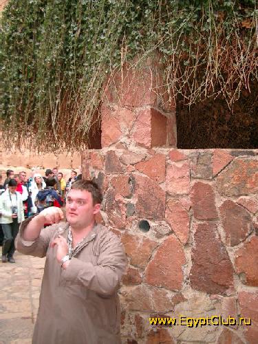 ��������, ������ ����������� ��������