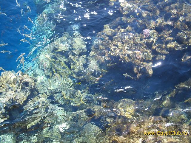 ���� � 10 ������ �� ����� ����� 