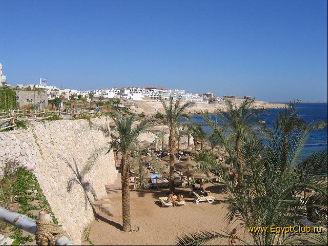 ������ �����