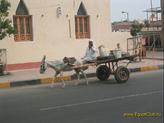 ������������ ������