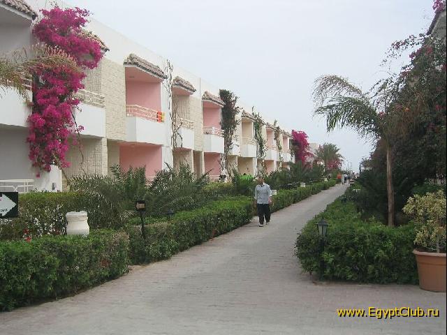 ����� ��������