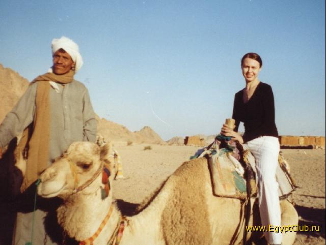 � ������ � ��������