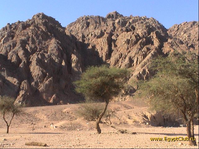 �� ���� � �����