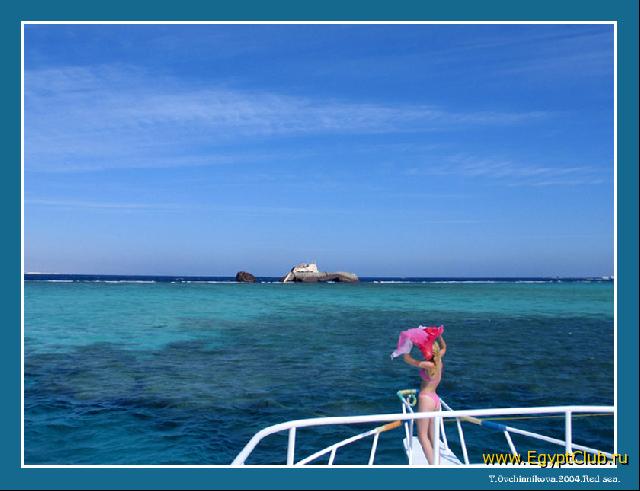 ����� �������