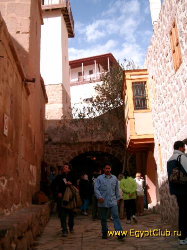 ���������� ����