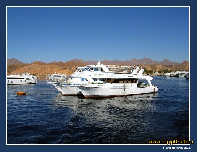 ���� ���� ��� �����