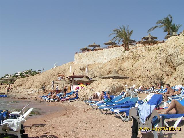 ���� � ���� ����� Hilton Sharks Bay