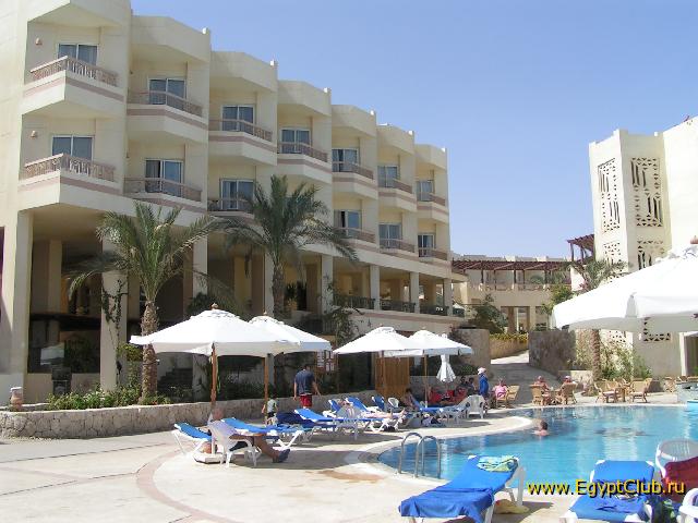 ������� ������� ����� Hilton Sharks Bay