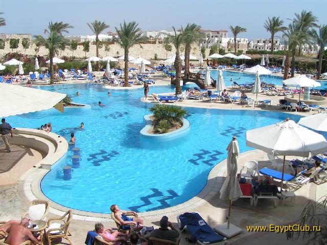 ������� ����� Hilton Sharks Bay