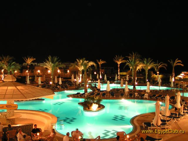 ������� ����� Hilton Sharks Bay