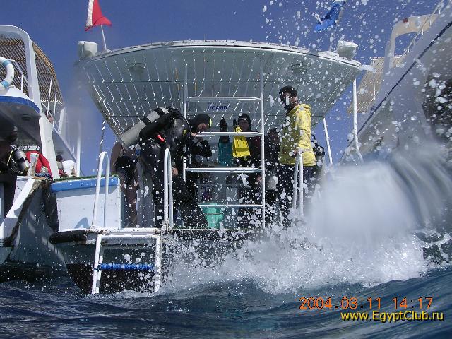 �������������, ���������