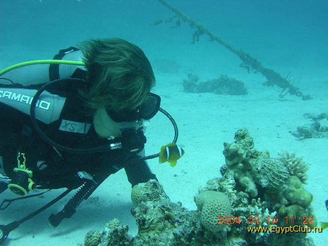 � �������