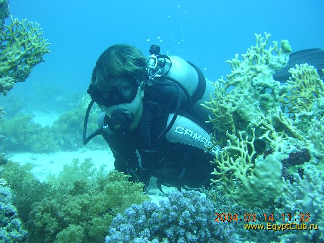 �������:�����, ������, �������-������� ���� �����!!!