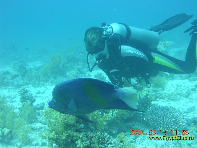 ���� -����� � �