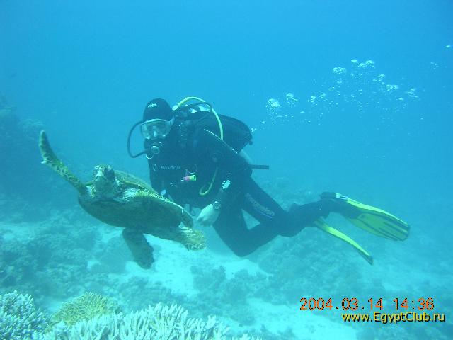 3 ������,����� ����������...