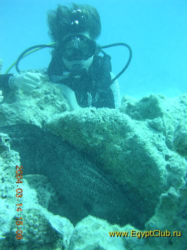 � ��� � � �������