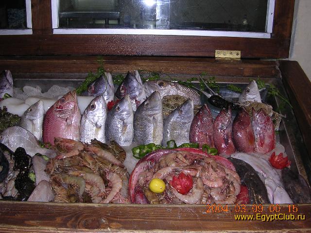 ��� ����