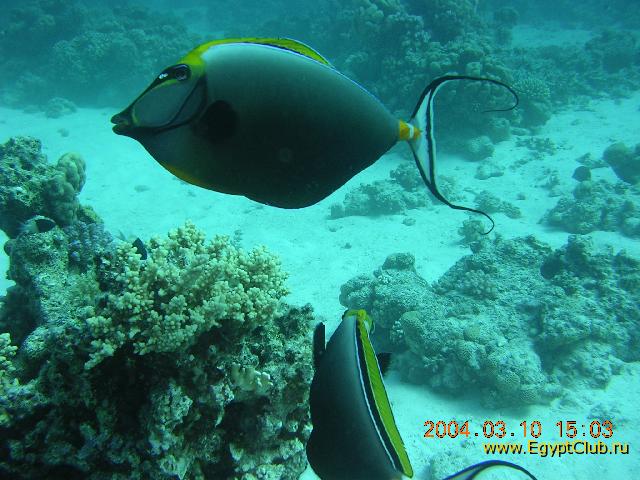 ����-�������