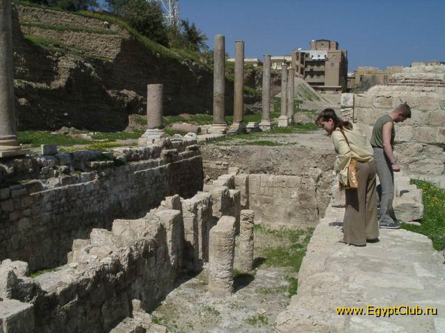 �����������