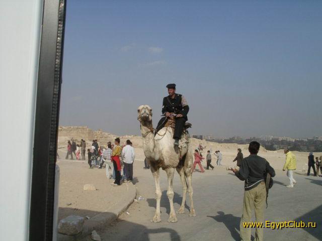 �������� � ����