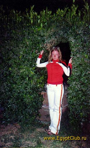 ���������� ��������