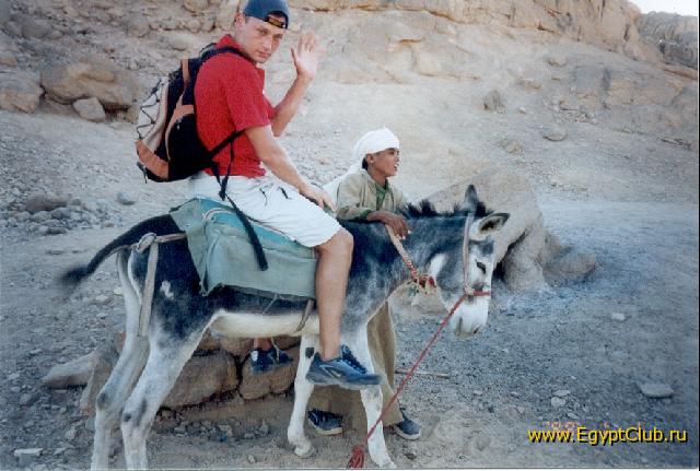 �� ���� 2