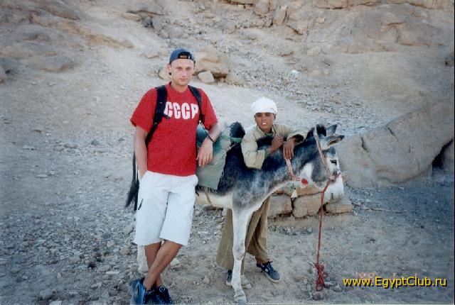 �,������� -������ � ����