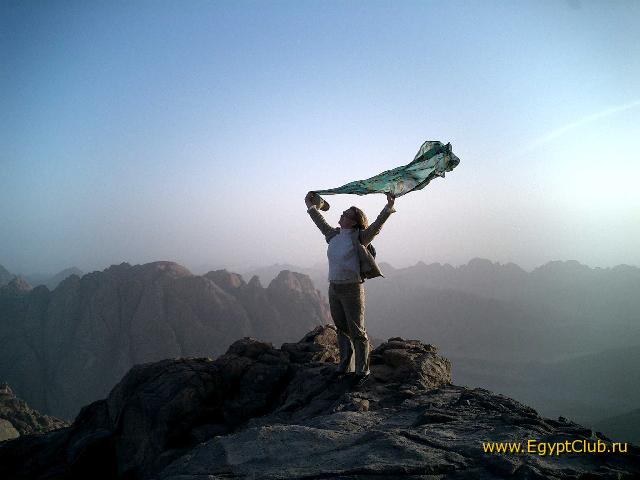 ������ �������� �� ���� ������