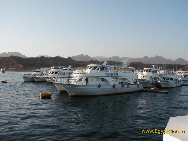 ������� �������� � ���