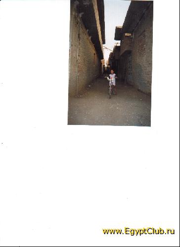 ����  �������